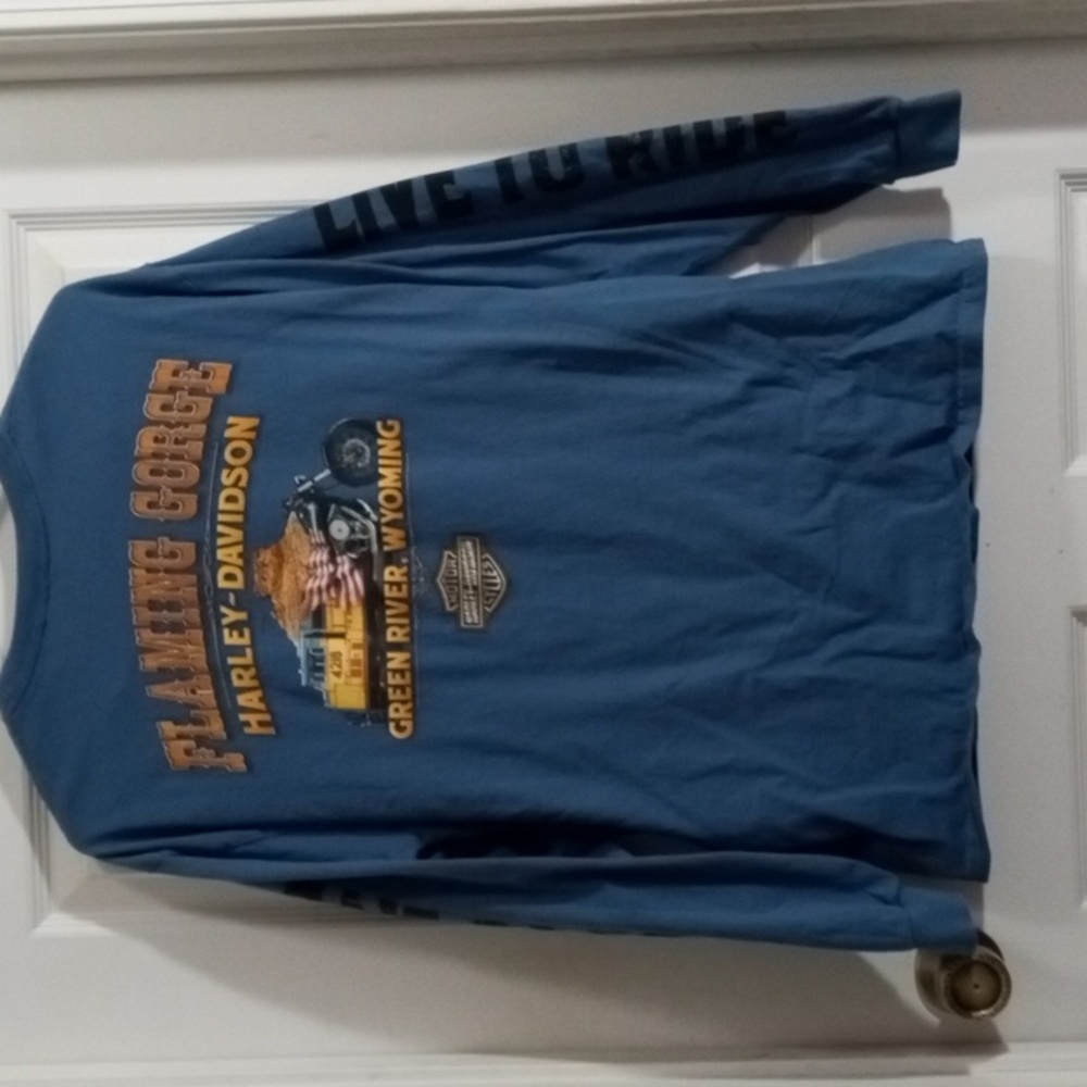Harley-Davidson Blue Long Sleeve Tee Men’s Large - Picture 4 of 6